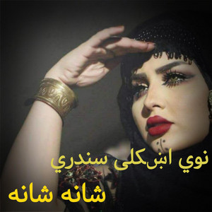 Afg city music - نوي پښتو سندري _new_pashto_tora_zulfiy_k_shana