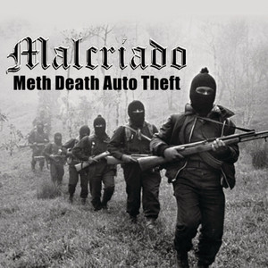 Meth Death Auto Theft