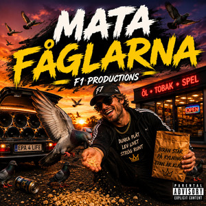MATA FÅGLARNA by F1 Productions