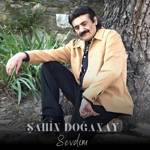 Şahin Doğanay - Sevdim