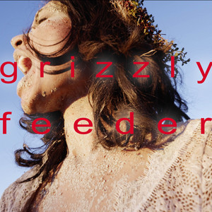 Dirt and Sun by Grizzly Feeder