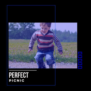 # 1 Album: Perfect Picnic album