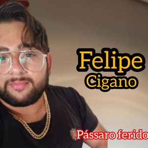 Passaro Ferido by Felipe Cigano