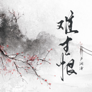 难生恨 - 动感光波版 by 卢润泽