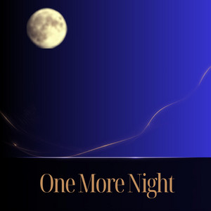 One More Night by Midnight Vow