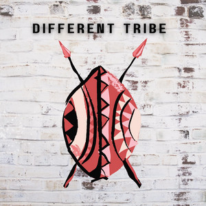 Different Tribe by MJ West Solutions