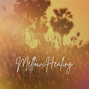 Mellow Healing by Johannes Fresz