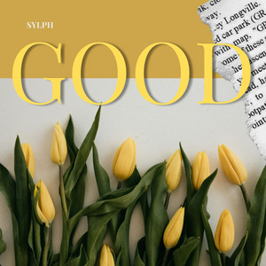 Good (radio edit) by Sylph