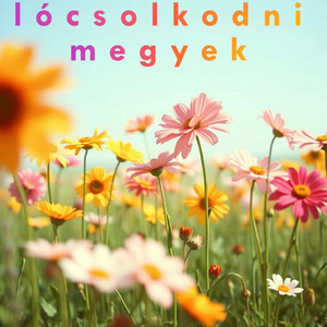 IstvanTV1 - Szabad E Locsolni