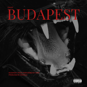 Budapest by Dhaf