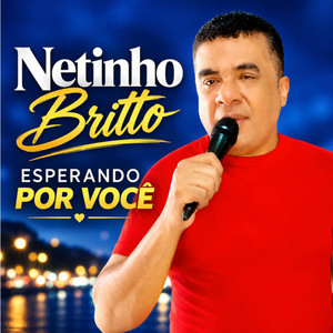 Amor Absurdo by Netinho Brito