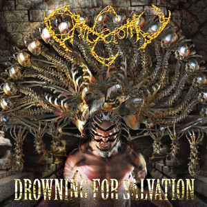 Onicectomy artist photo