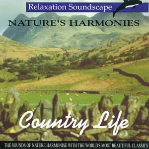 Camerata Labacensis, Joze Falout & Kurt Redel - Horn Concerto No. 1 in D Major, K. 412: I. Allegro