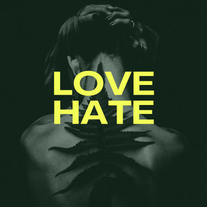 Love Hate by Djcacoeblock