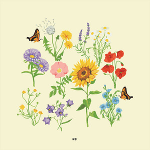 we (extended) album