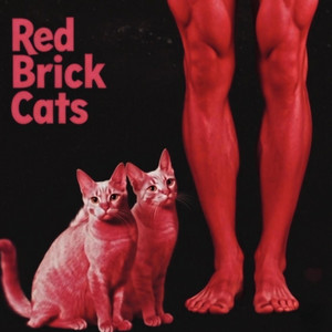 No Escape - Funkurdy Remix by Red Brick Cats, Funkurdy