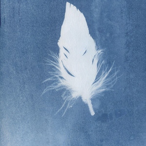 Snowbirds and Fairweather Friends by With Brevity, 星来