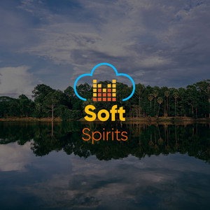 # 1 Album: Soft Spirits album