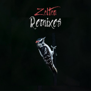 Anthemic - Rap Version by Zolton, Rioux
