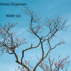 Wildlife by Amos Chapman