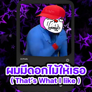 KroNosDzEX - ผมมีดอกไม้ให้เธอ( That's What I like )
