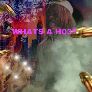 WHATS A H03?