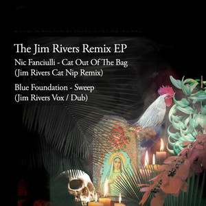 Cat Out Of The Bag - Jim Rivers Cat Nip Remix by Nic Fanciulli, Jim Rivers