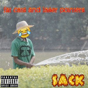 Fat Cats and Laser Pointers - Icup