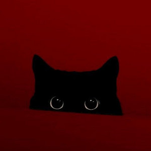 Decline - Ultra Slowed by Lexıee