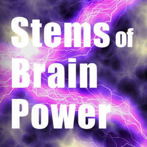 Brain Power - Off Vocal by NOMA