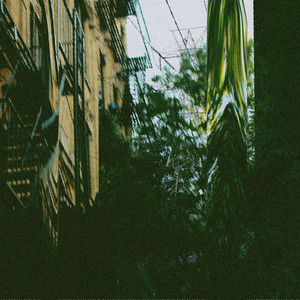 pain in new york (analog) by Carla Grace
