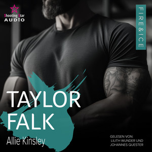 Taylor Falk - Fire&Ice, Band 14 (ungekürzt) Audiobook