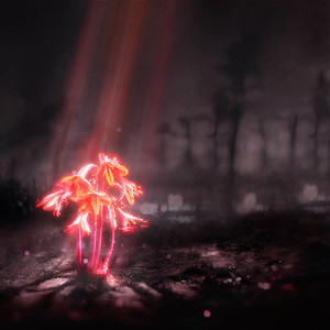 Dead Wood by Enter Shikari