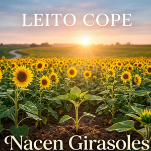 Nacen Girasoles by Leito Cope