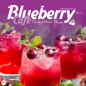 Blueberry Cafe Vol 6: Soulful House Moods album