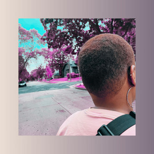 Portada de No Point