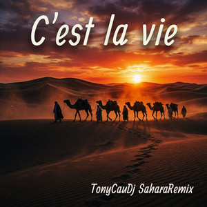 C'est la vie - Sahara Remix by TonyCauDj