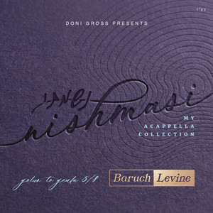 Shifchi by Baruch Levine
