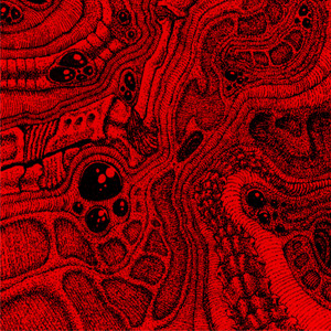 Anti Gravity Cavity by Corners of the Sky