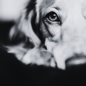 Eyes of Wisdom by Ephemeral Odyssey