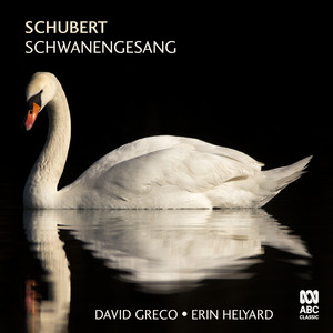 Schubert: Piano Sonata in G Major, Op. 78, D. 894: II. Andante