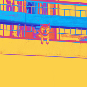 Backdrop for Beloved Puppy - Uplifting Piano Bossa Nova Duo album