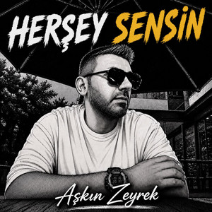 Herşey Sensin by Askın Zeyrek