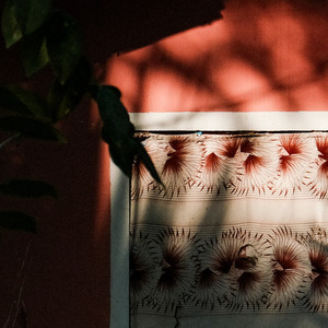 Cerrado by Melle Jutte