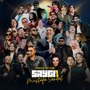 İki Tas Çorba - Mustafa Sandal Saygı 1 by Mela Bedel, Mustafa Sandal Album Cover