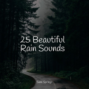 25 Beautiful Rain Sounds album