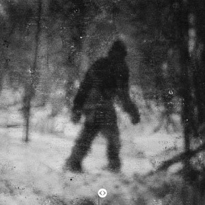 Bigfoot by Maxx Lyon