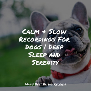 Calm & Slow Recordings For Dogs | Deep Sleep and Serenity album