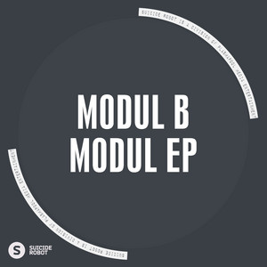 Modul B cover