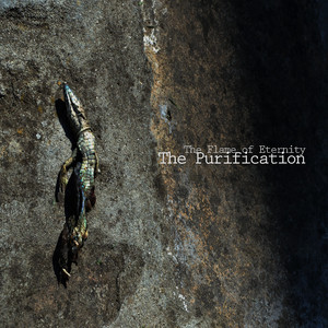 The Purification cover